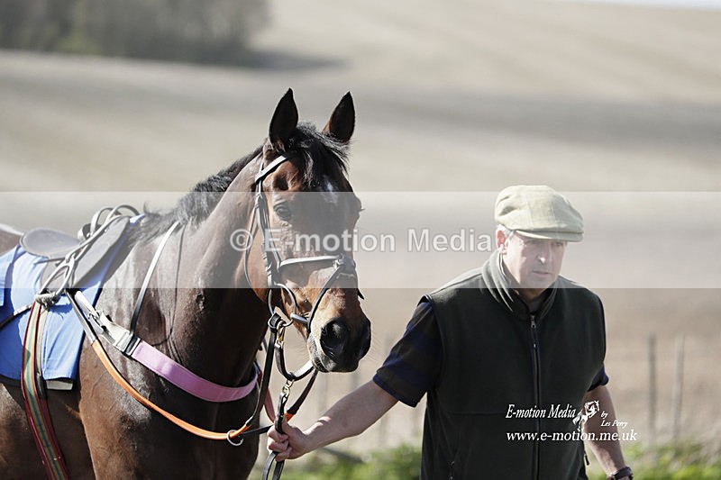 PtP 100423 808 - Old Berkshire Point-to-Point Lockinge 10/04/23