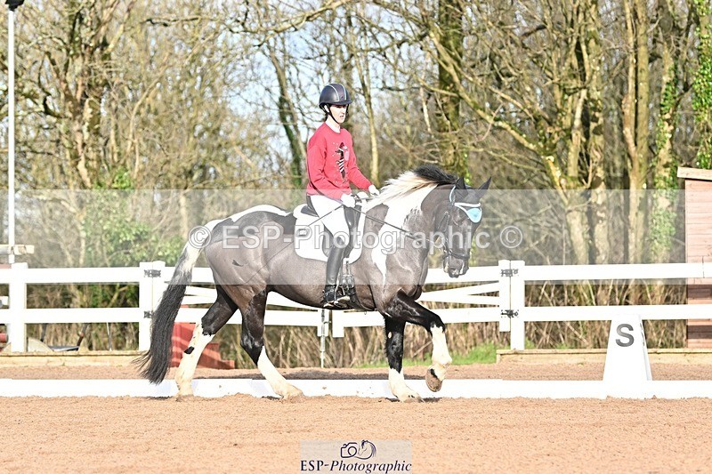 241214-112629-01402 - 130-Alys.Matravers-Tiger.Mazariti