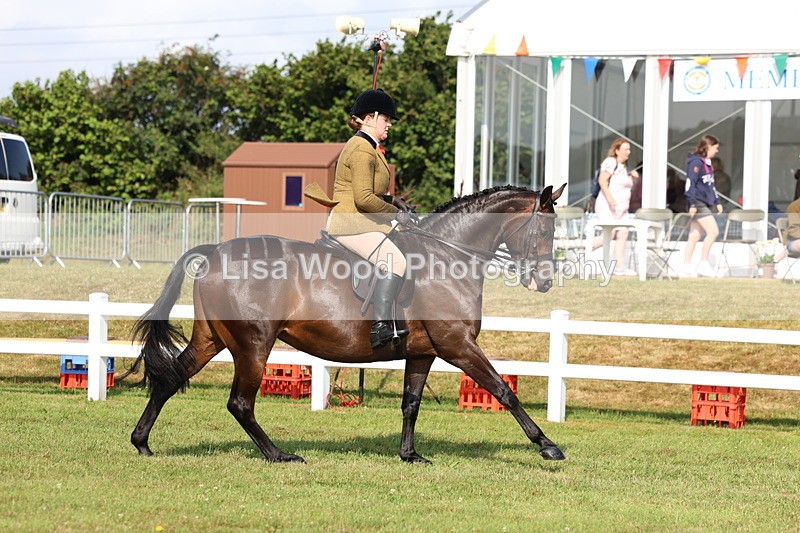 3E7A8587 - Class 3: Rising Star S/L Hunter