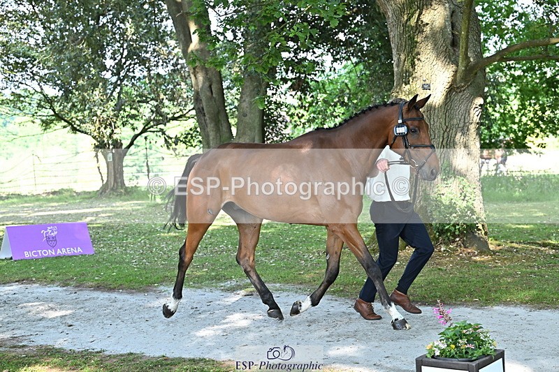 250521A-162431-01118 - C-219-Francois.Heyns-LS.TOP.BOY