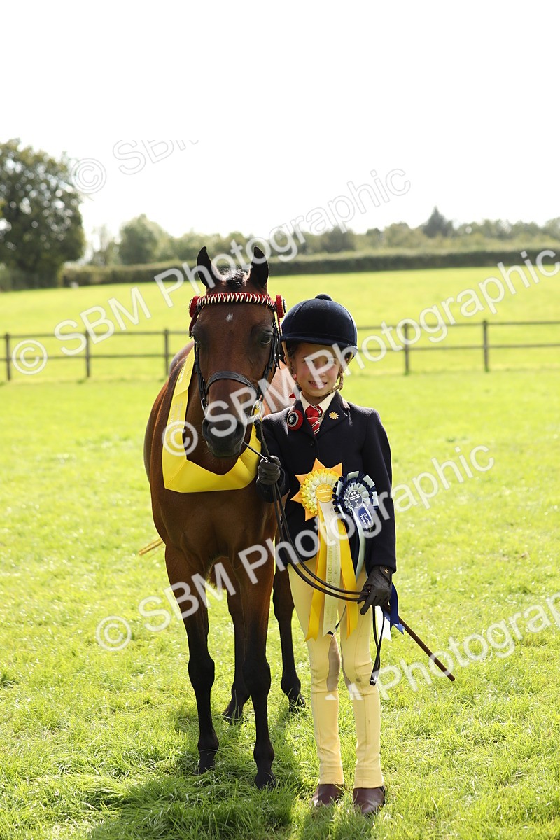 SBM_66348 - In Hand Pony & Youngstock Supreme Championship