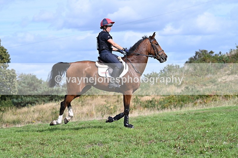 WJ7_2016 - Time 13:17 to 13:53