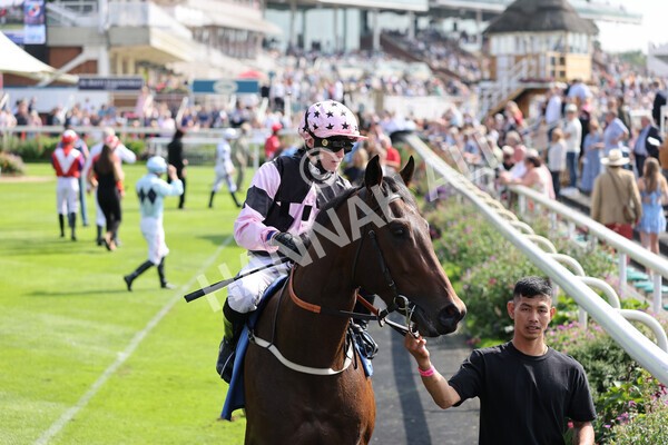 yr05092021r1-8 - Race 1 2.10pm IRE-Incentive It Pays To Buy Irish ebfstallions.com Novice Stakes