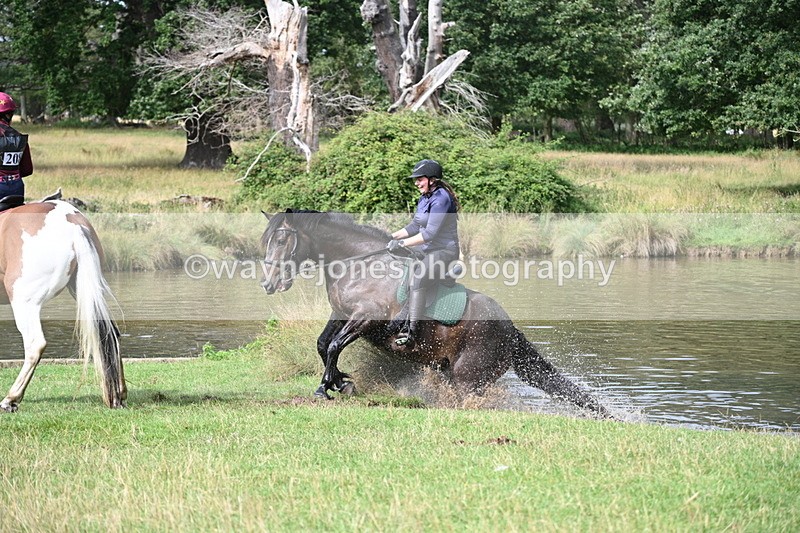 WJ7_1011 - Time at Water 10:09 to 10:47