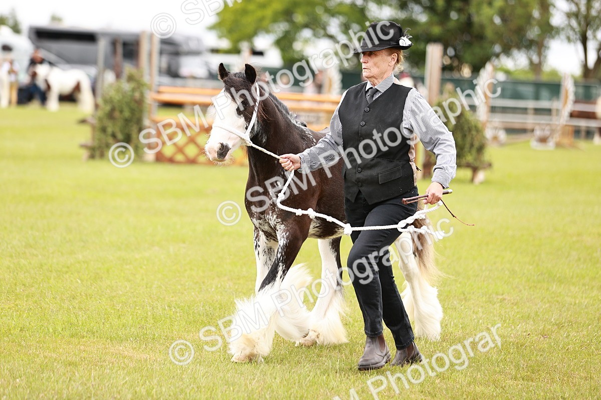 SBM_05974 - Class 39-41 TGCA In Hand and Ridden