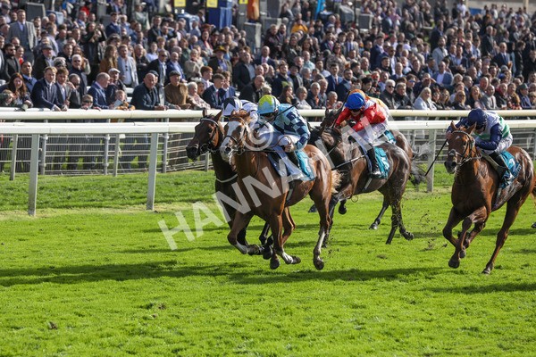 141023-Race 2-Whiskey Pete-0349 - Race 2 1.50pm Play Coral 'Racing-Super-Series' For Free Nursery Handicap