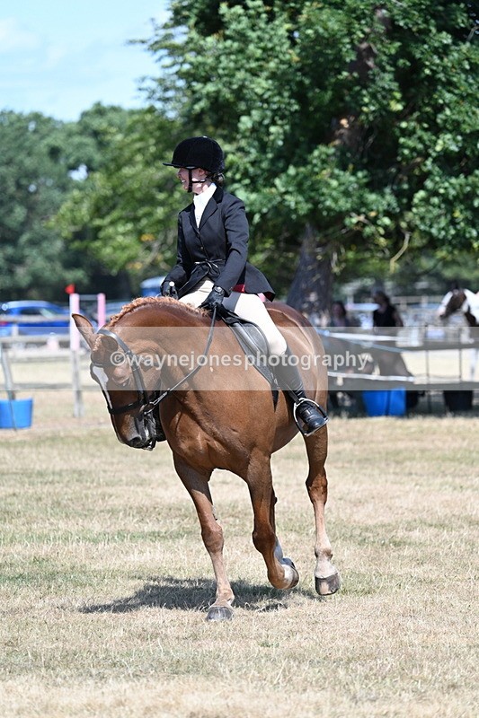 WJ7_3630 - Class 8 Ridden Veterans