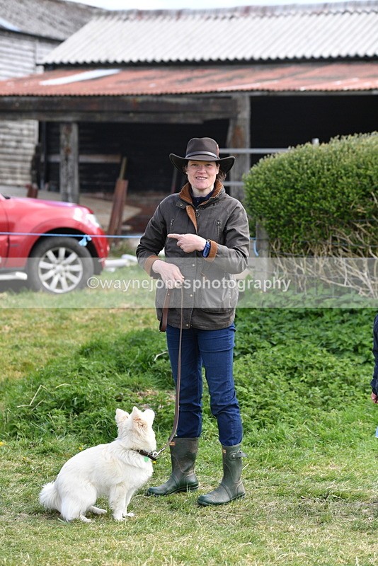 WJ5_0701 - Best in Show Championship