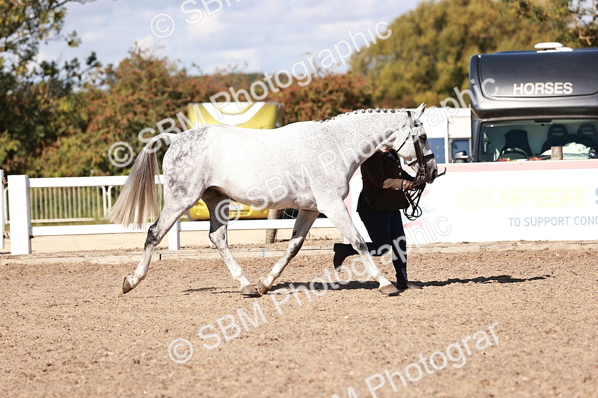 SBM_13316 - class 406 - IH Hunter