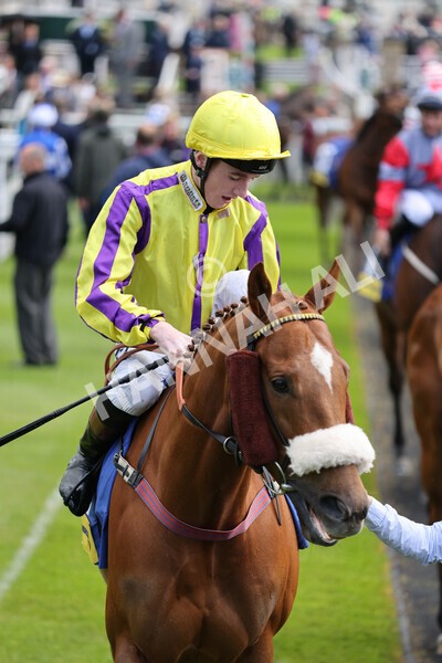 yr11052022r2-11 - Race 2 2.25pm Churchill Tyres Stakes