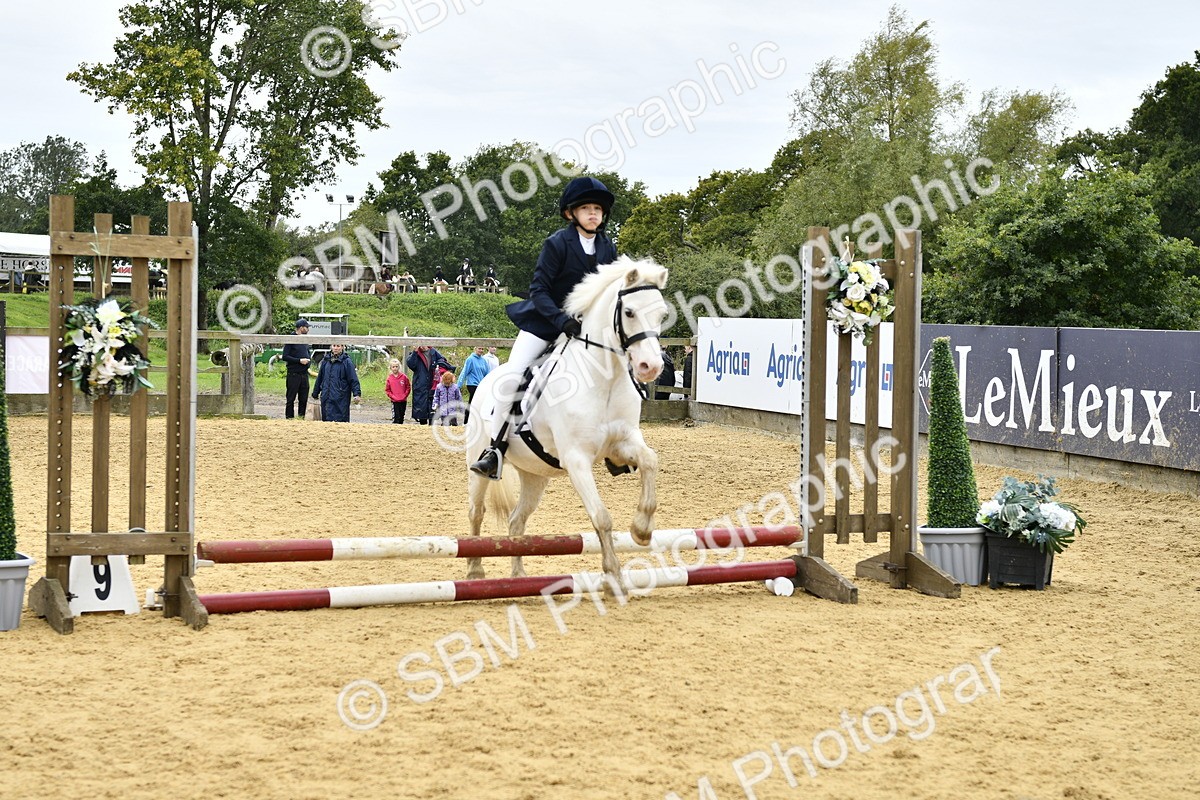 SBM_65450 - J2a mini Tour Junior Pony 30cm Championship