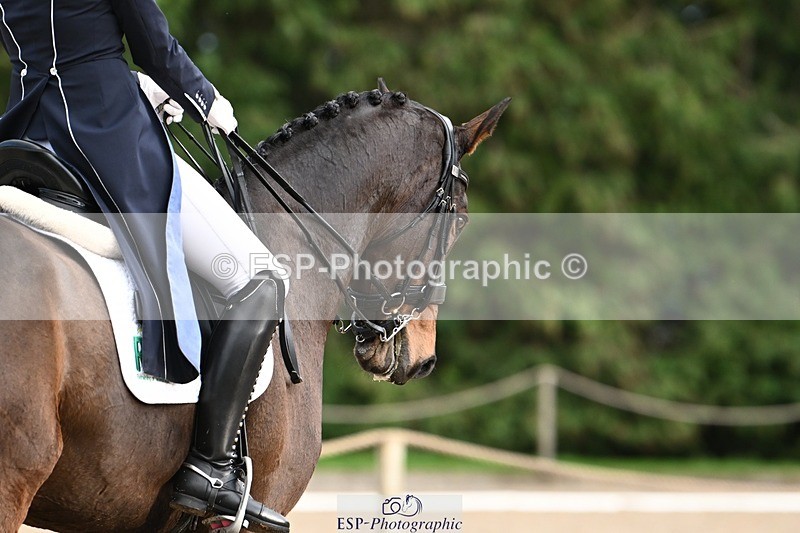 231110-152256-02168 - Cls 11 FEI PSG