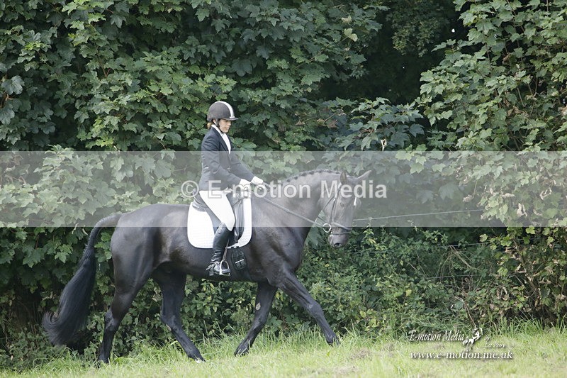 BVRC 120921 369 - Bourne Valley Riding Club UA Dressage & Show Jumping 12/09/21