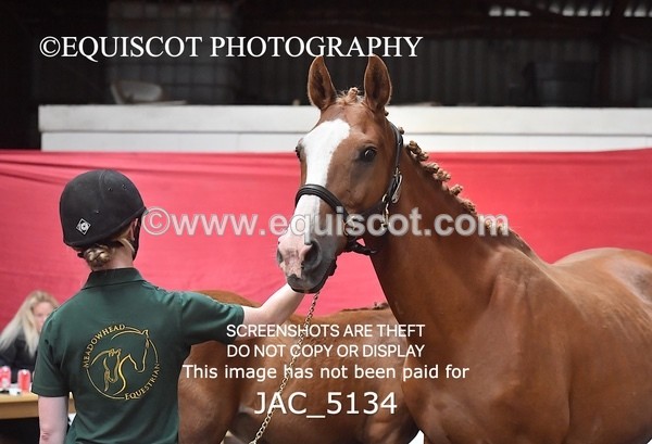 JAC_5134 - 9 Zinzipan