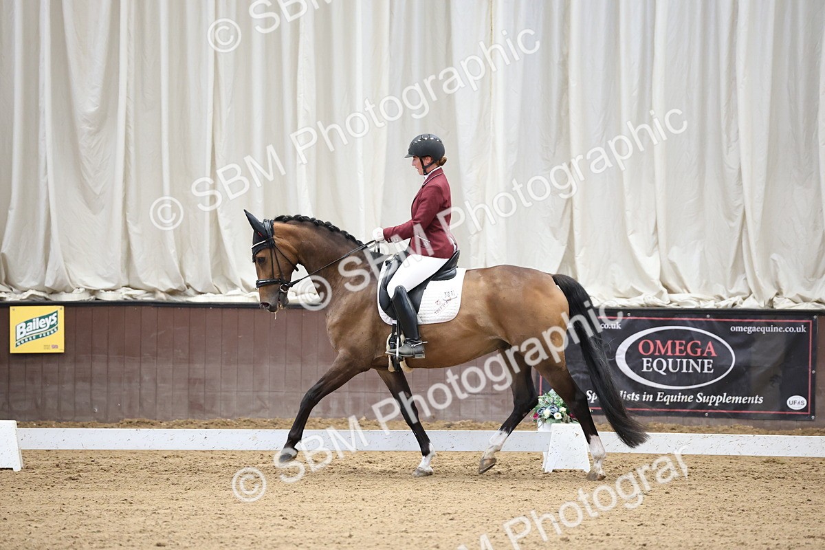 SBM_002158 - Class 5 - Novice 6 Gold - 9.00-10.10
