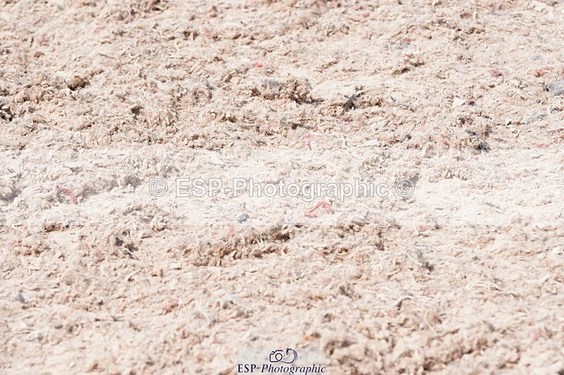 250503-120334-00726 - Cls 21+22 Club and Schools 80cm