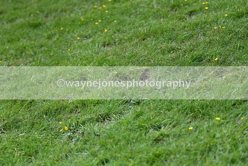 WJ5_2050 - Time 15:05 to 15:30