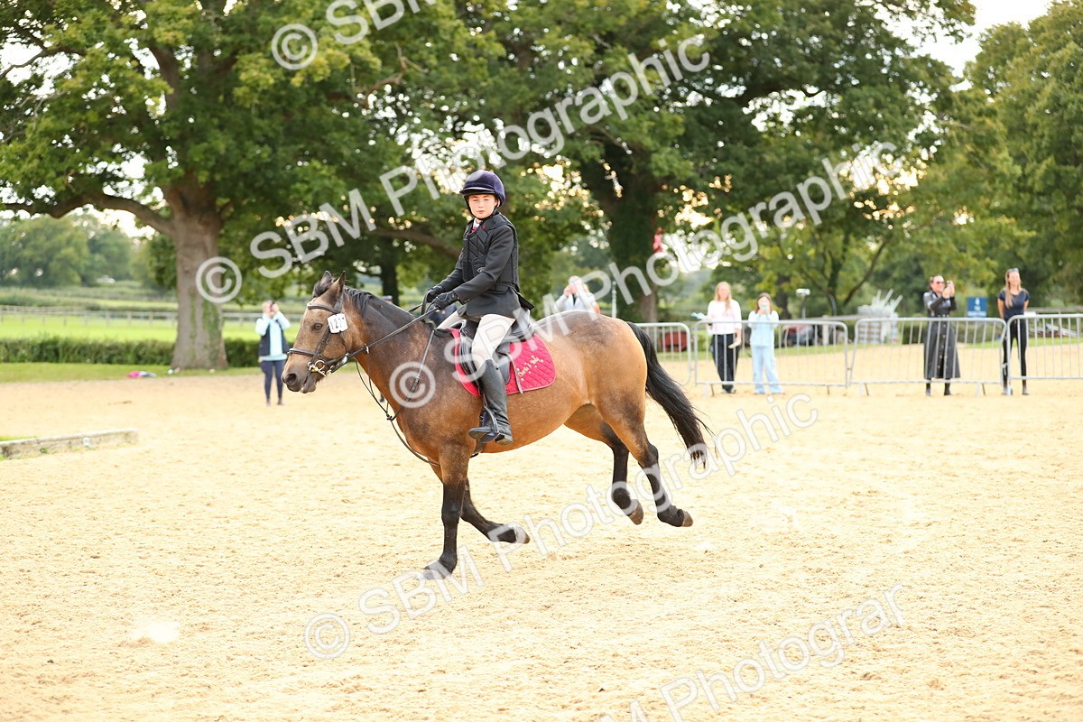 SBM_76246 - J19 - Junior 90cm Supreme Championship