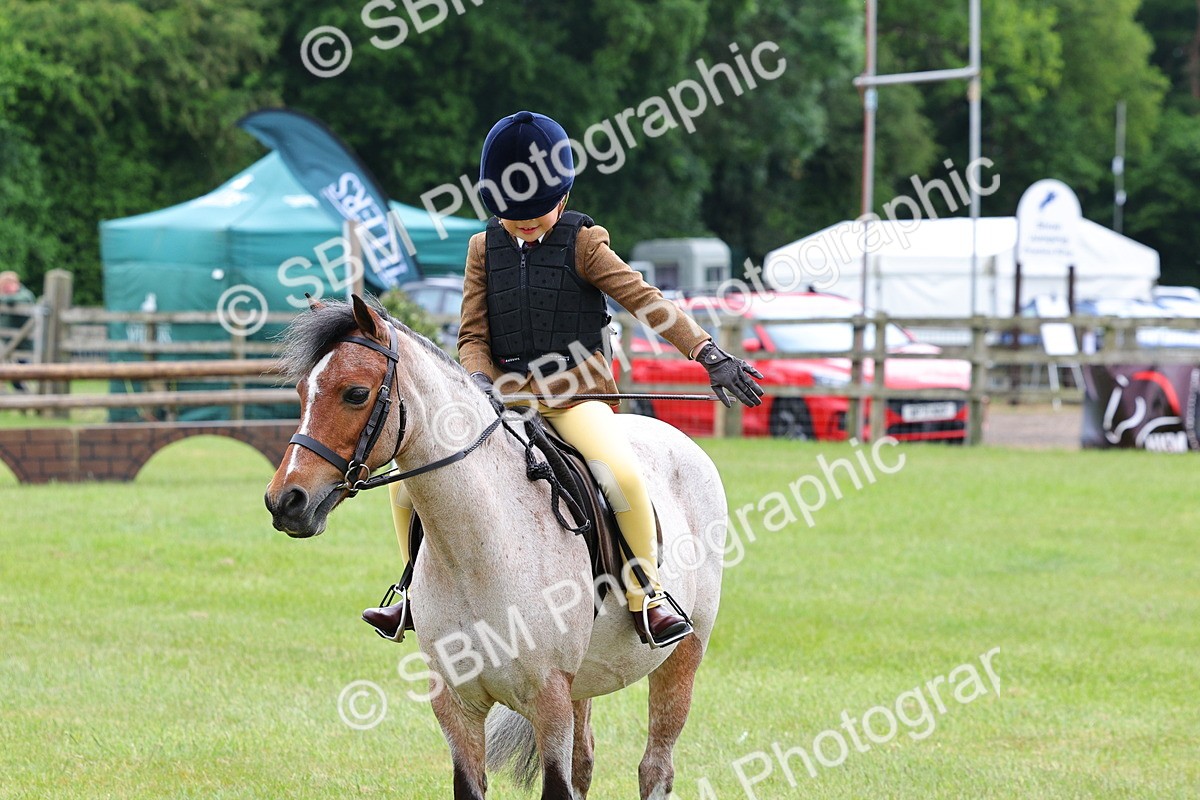 SBM_08605 - Class 42-43 - LIHS BSPS Heritage Working Sports Pony