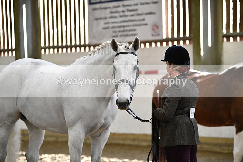 WJ5_4024 - Class 2 Best Condition In hand