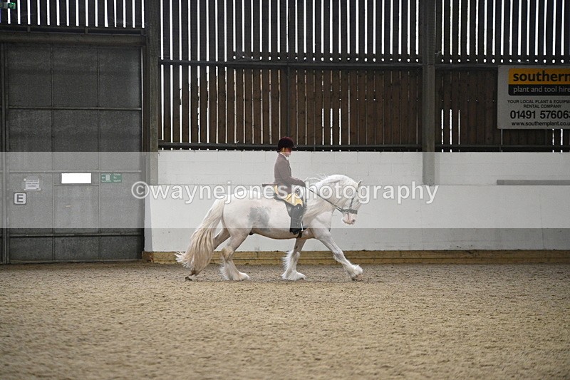 WJ7_3740 - Class 16 Ridden Coloured/ Odd Coloured