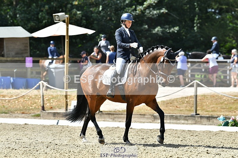 260801A-120312-03786 - Prelim SIlver Break - End
