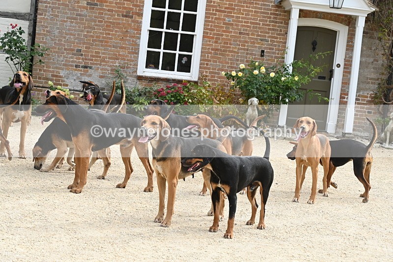 WJ6_3371 - Berks & Bucks - The Old farmhouse - Hound Exercise 20-08-25