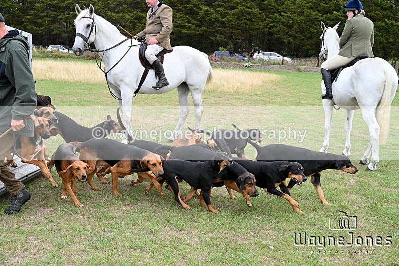 WJ7_0588 - Berks & Bucks Hound Exercise Blewbury 13-09-26