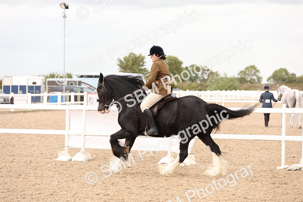 SBM_19697 - Class 216 - Ridden Traditional - Native Cob