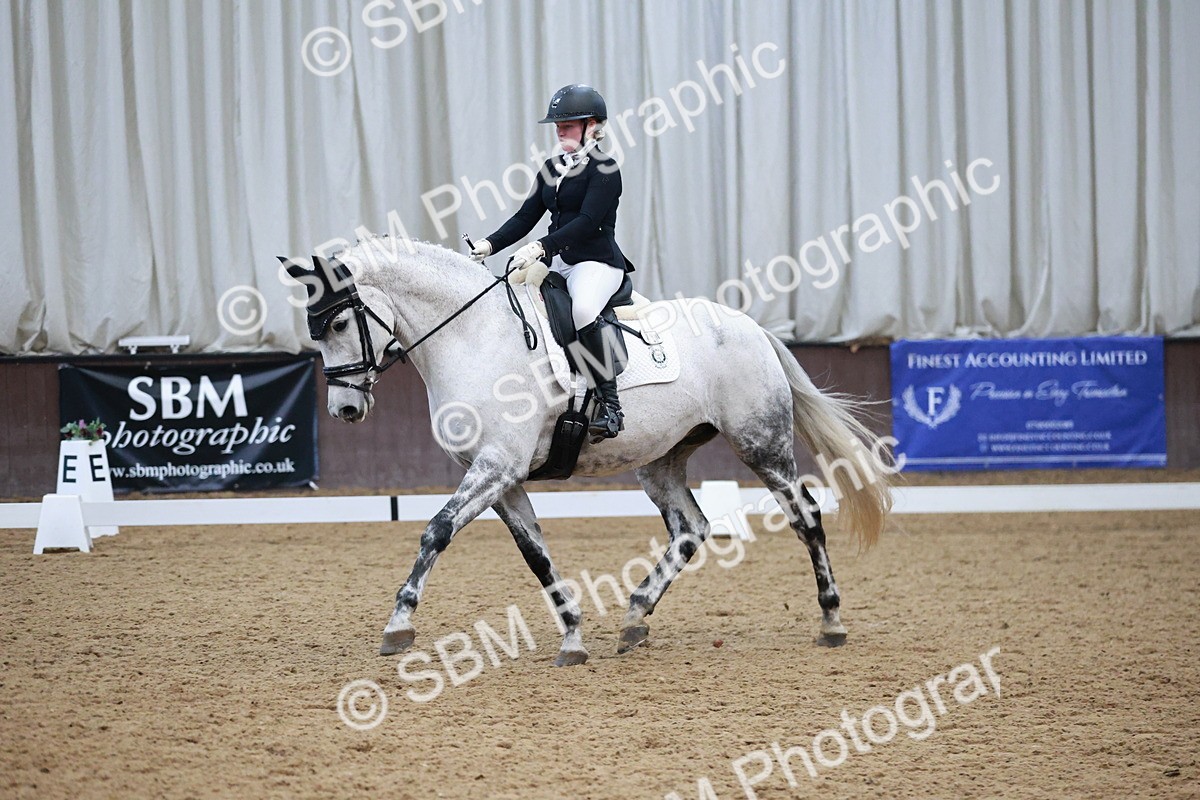 SBM_004542 - Ring 3 - International -  Working Hunter Classes 23-2-25