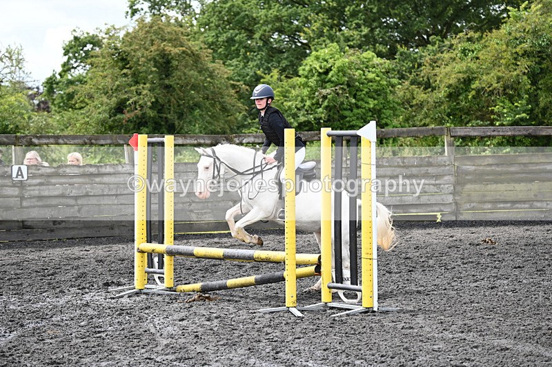 WJ6_9706 - Class 13 Novice 60cm