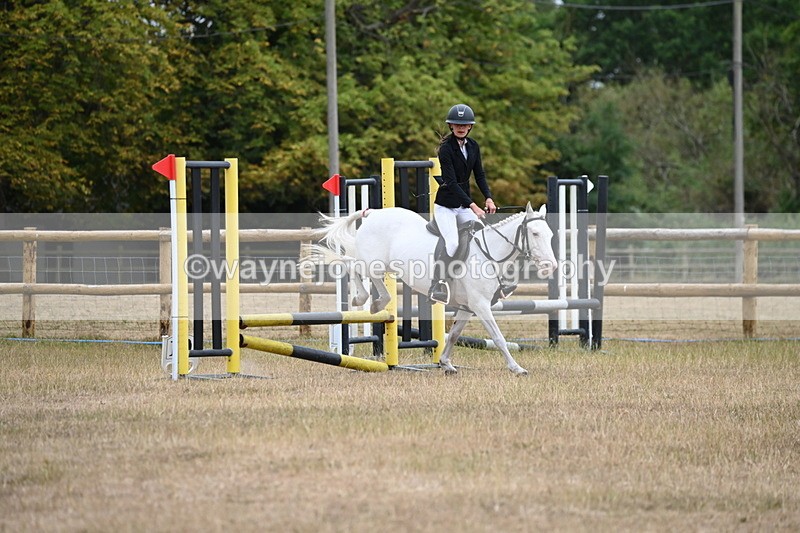 WJ6_0276 - Class 13 Novice Jumping 60cm
