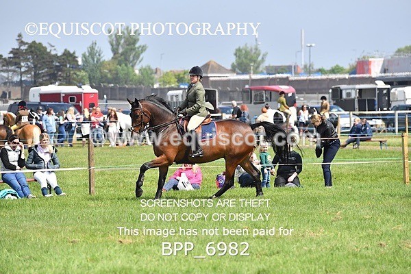 BPP_6982 - CLASS 3 RHS Fox Champ Qual (1.20m)