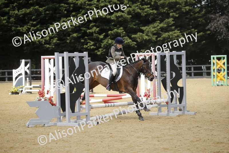 20250622-4035 - 50cm