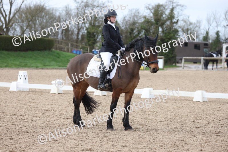 20260301-0929 - Class 6 - Elementary 5