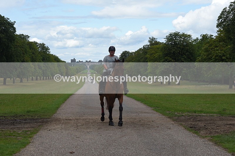 TT3_0460 - Time at Crossing 14:53 to 1526