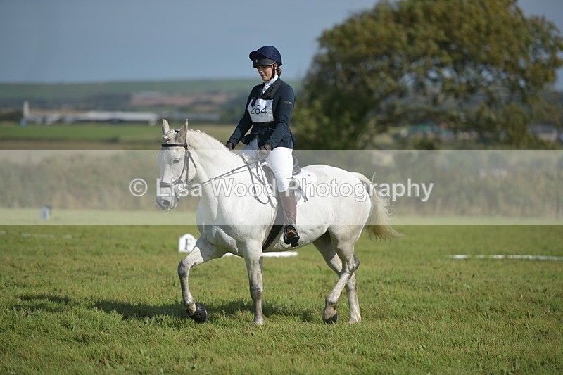 RAY_8084 - Class 2B: Trekenning Open: Dressage