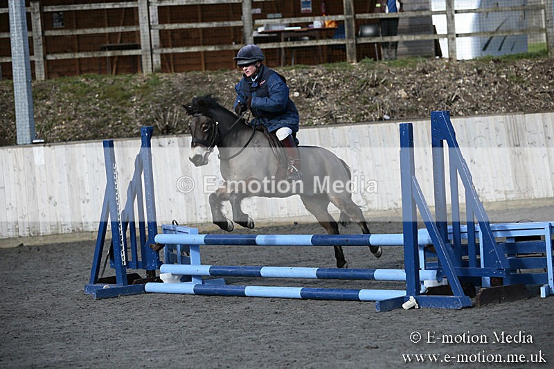 BVRC SJ 170319 4 - Bourne Valley Riding Club Showjumping 17/03/19