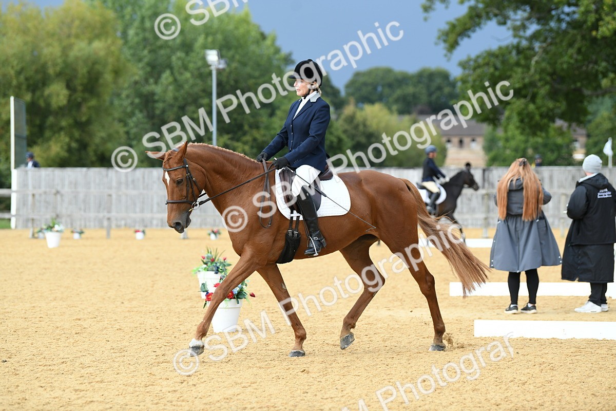 SBM_10993 - D28 Elementary Taster Elementary 42