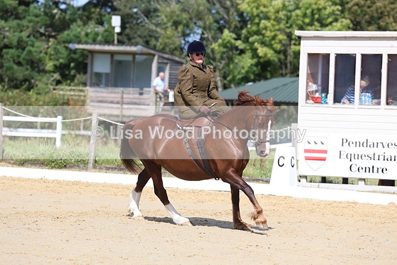 3E7A3592 - Class 7:  Preliminary Music