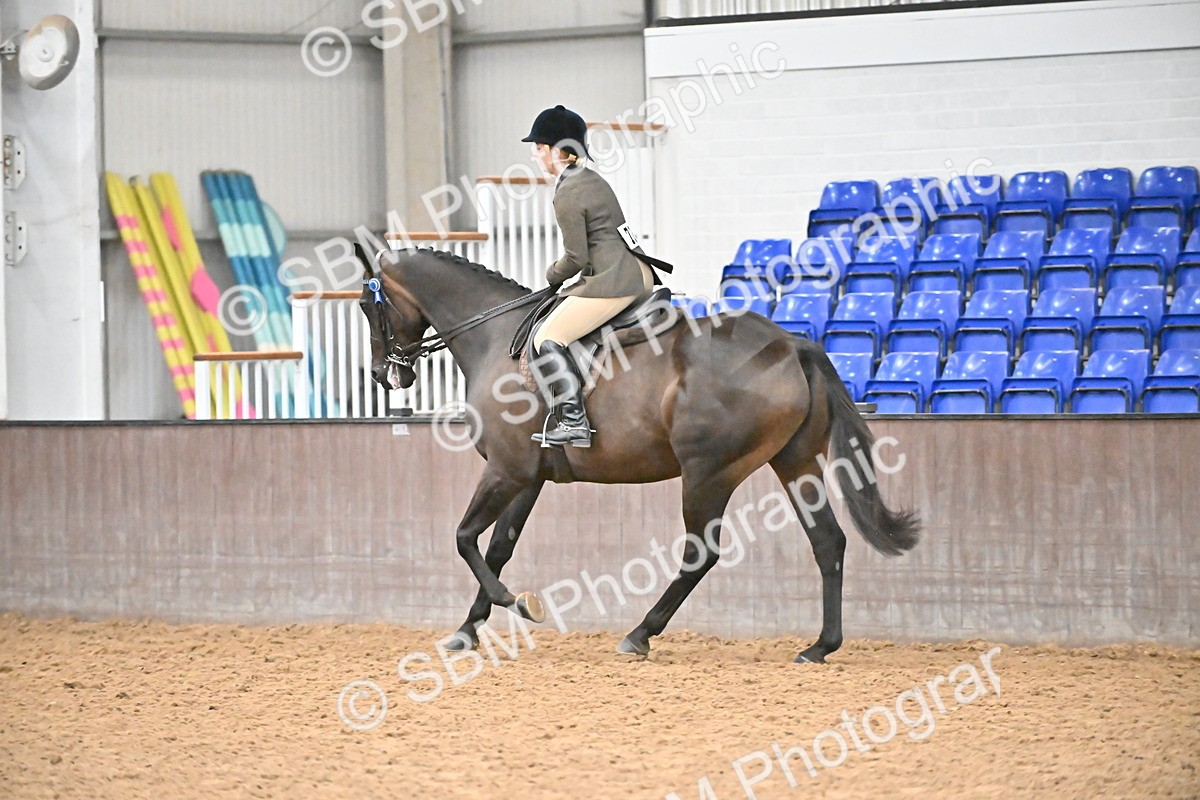 SBM_002384 - Class 22 - BSHA Ridden Hack & Riding Horse