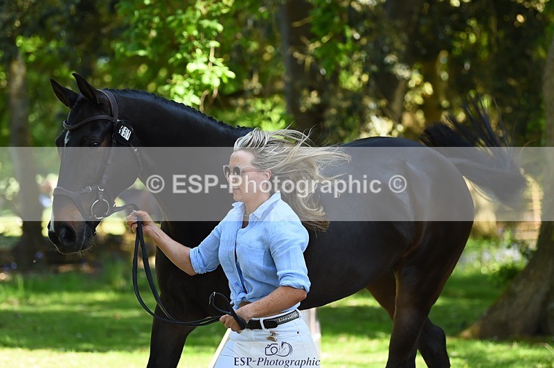 230524-152914-00302 - 351-TRINITY_CAVALIER-Henrietta_Horsley-gubbins-WEDTrotUp+DR