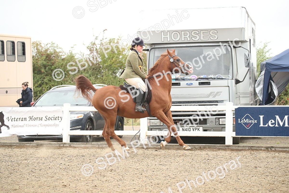 SBM_18431 - Class 509B - Working Veteran - 80cm (20+)