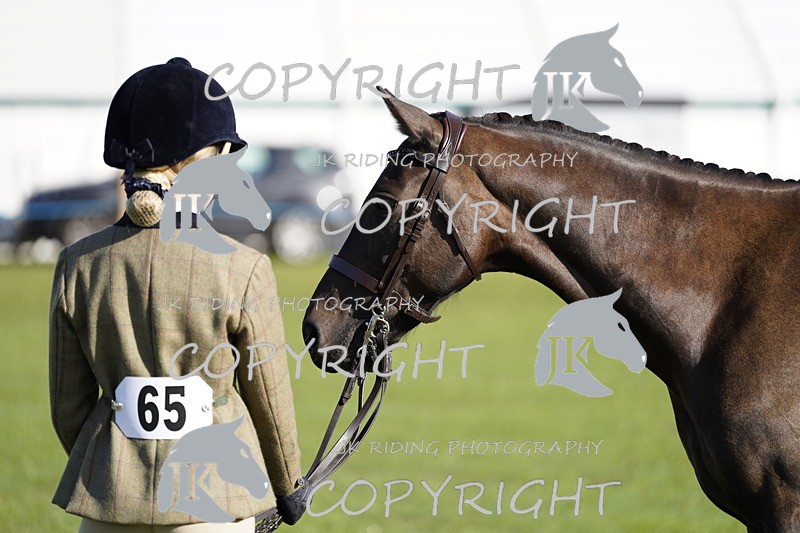 _DSC9510 - Class 8 & 17 Ridden Hunter & Ridden Hunter Pony