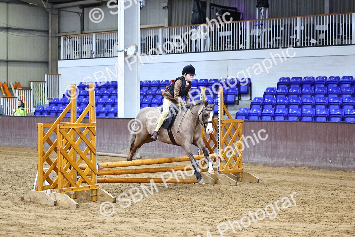 SBM_003057 - Class 35 - 60cm Training Stakes
