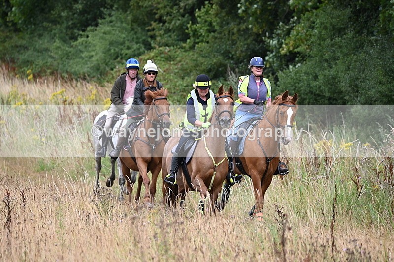 WJ6_2321 - Group 7
