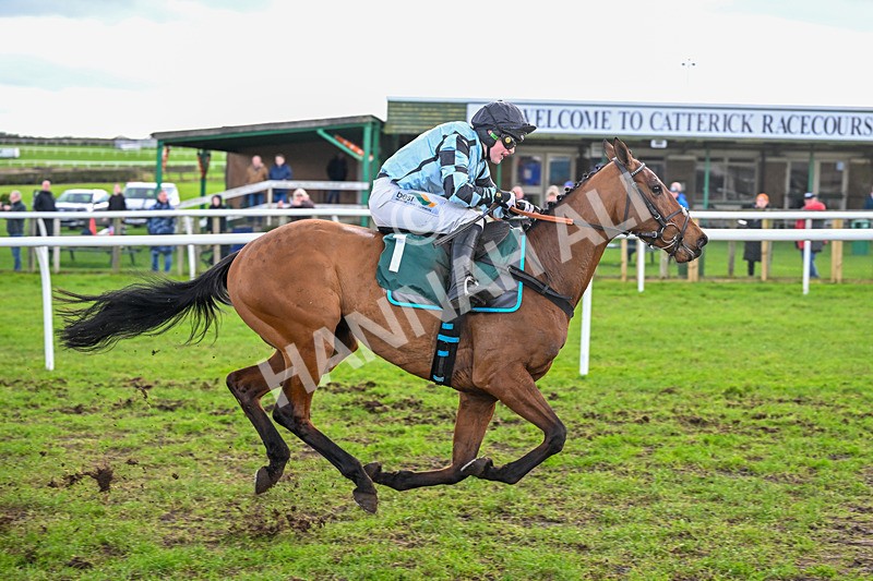 240226-Race 2-Secret Vino-6482 - Race 2