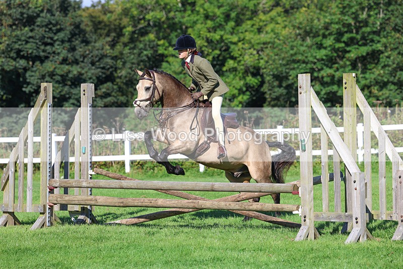 3E7A7732 - Class 2: Open Working Hunter pony