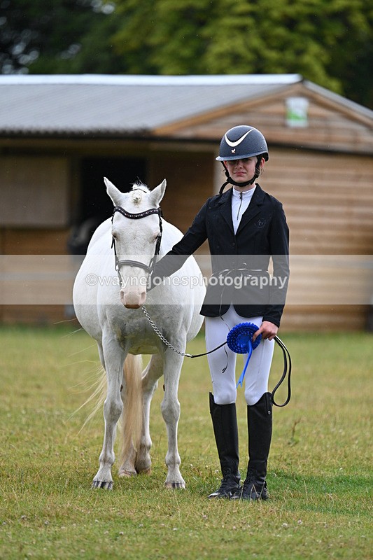 WJ7_5913 - Class 4 Prettiest Mare in Hand