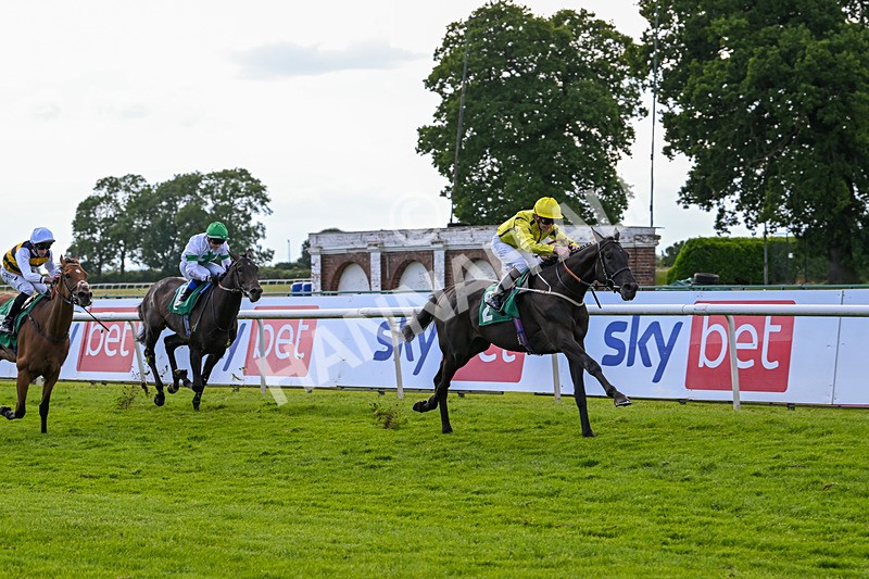 160624-Race 4-Align The Stars-8818 - Race 4